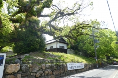Adventours Kyoto - Uji and Fushimi Tour